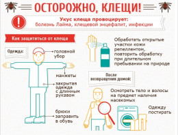 Влажно и тепло? То, что любят клещи! Влажно и тепло? То, что любят клещи!