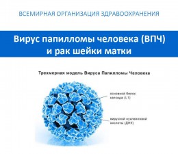 Вирус папилломы человека (ВПЧ) и рак шейки матки