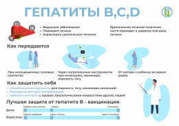Меры профилактики гепатитов Меры профилактики гепатитов