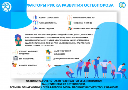Остеопороз: я вхожу в группу риска? Остеопороз: я вхожу в группу риска?