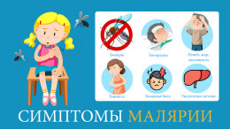 Что нужно знать о малярии Что нужно знать о малярии