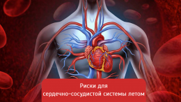 Риски для сердечно-сосудистой системы летом