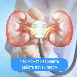 Безобидные привычки, которые могут навредить работе почек летом Безобидные привычки, которые могут навредить работе почек летом