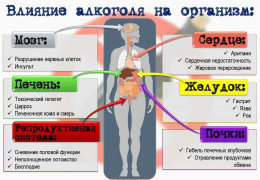 Какие органы страдают в первую очередь от потребления алкоголя
