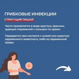 Чем можно заразиться от кошек?