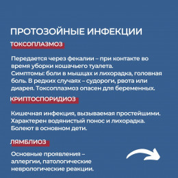 Чем можно заразиться от кошек?
