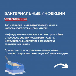 Чем можно заразиться от кошек?