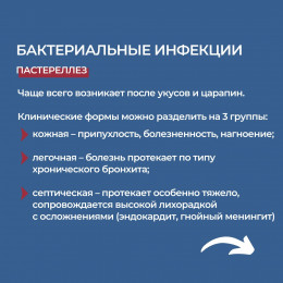 Чем можно заразиться от кошек?