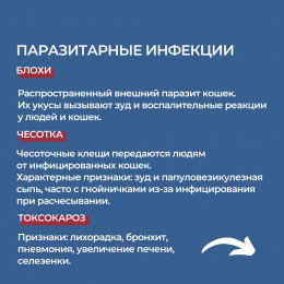 Чем можно заразиться от кошек?