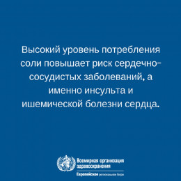 СОЛЬ: коротко о главном! СОЛЬ: коротко о главном!