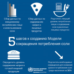 СОЛЬ: коротко о главном! СОЛЬ: коротко о главном!
