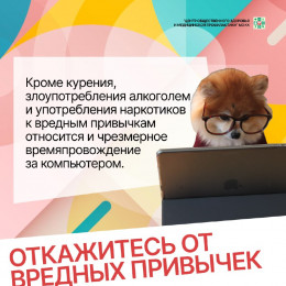 Основы ЗОЖ: важное для вас