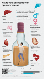 Какие органы поражаются при алкоголизме