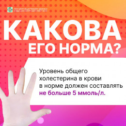 Полезная информация о холестерине Полезная информация о холестерине