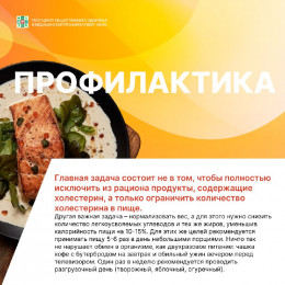 Полезная информация о холестерине Полезная информация о холестерине