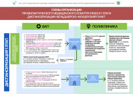 Памятки по медосмотру и 1 этапу диспансеризации в поликлинике и ФАП