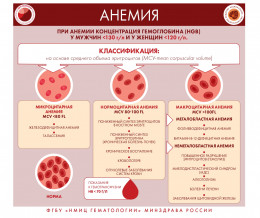 Заболевания системы крови