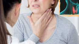 Немного о щитовидной железе