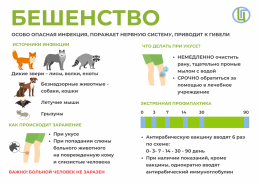 Как НЕ ЗАРАЗИТЬСЯ бешенством Как НЕ ЗАРАЗИТЬСЯ бешенством
