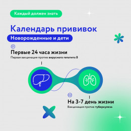 Календарь прививок взрослых и детей Календарь прививок взрослых и детей