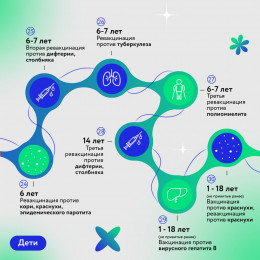 Календарь прививок взрослых и детей Календарь прививок взрослых и детей