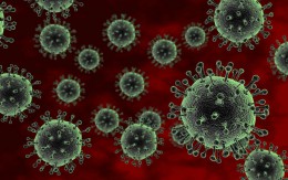В Анапе началась вакцинация против гриппа