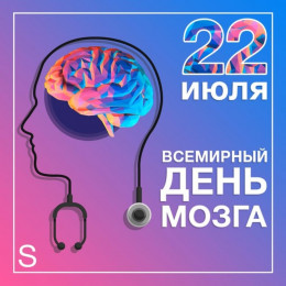 22 июля отмечается Всемирный день мозга 22 июля отмечается Всемирный день мозга