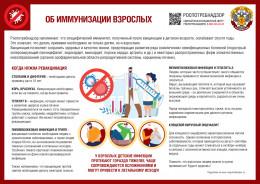 Иммунизация взрослых Иммунизация взрослых