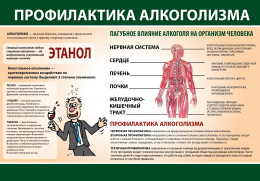 Профилактика алкоголизма