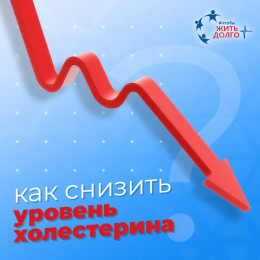 Как снизить уровень холестерина в крови: 6 советов диетолога Как снизить уровень холестерина в крови: 6 советов диетолога