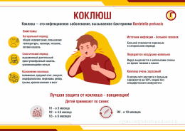 Профилактика коклюша Профилактика коклюша
