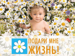 Подари мне жизнь!