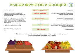 В чем польза овощей? В чем польза овощей?