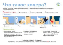 Чем опасна холера? Чем опасна холера?