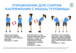 Офисная гимнастика