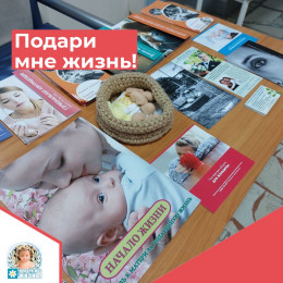 В Анапе проведут акцию «Подари мне жизнь!» В Анапе проведут акцию «Подари мне жизнь!»