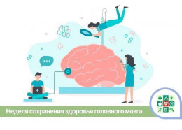 На Кубани стартует Неделя, направленная на сохранение здоровья головного мозга На Кубани стартует Неделя, направленная на сохранение здоровья головного мозга