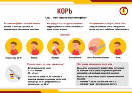 Профилактика кори Профилактика кори