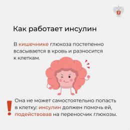 14 ноября – Всемирный день борьбы с диабетом 14 ноября – Всемирный день борьбы с диабетом