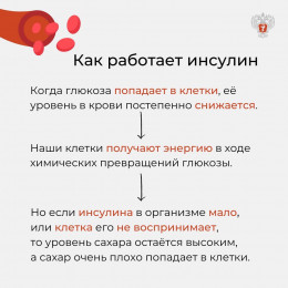 14 ноября – Всемирный день борьбы с диабетом 14 ноября – Всемирный день борьбы с диабетом