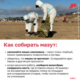 Как помочь очистить берега Кубани от мазута? Как помочь очистить берега Кубани от мазута?