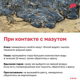 Как помочь очистить берега Кубани от мазута? Как помочь очистить берега Кубани от мазута?