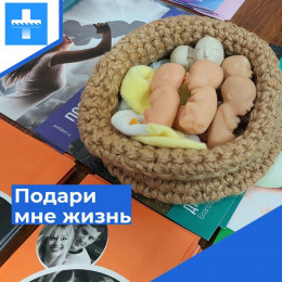 Завершилась акция «Подари мне жизнь» Завершилась акция «Подари мне жизнь»