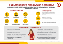 Как избежать заражения сальмонеллезом? Как избежать заражения сальмонеллезом?