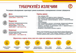 Факторы риска развития туберкулеза Факторы риска развития туберкулеза