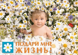 С 1 по 7 июня в Анапе пройдет акция «Подари мне жизнь»