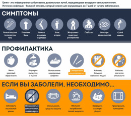 Грипп: часто задаваемые вопросы Грипп: часто задаваемые вопросы