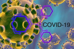 Мифы и ложные представления о коронавирусной инфекции (COVID-19)